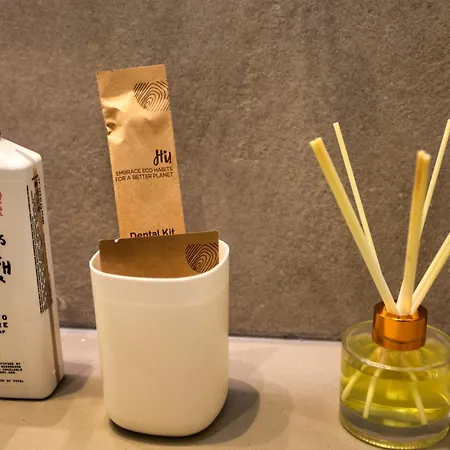 Sav Viridis Center 公寓 地拉那